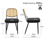 Sedie da pranzo in rattan imbottite Set di 2 sedie laterali - 33,86A x 18,9L x 22,83P